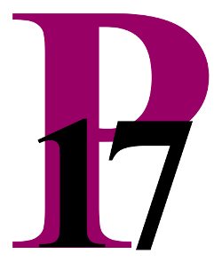 Logo Principle 17